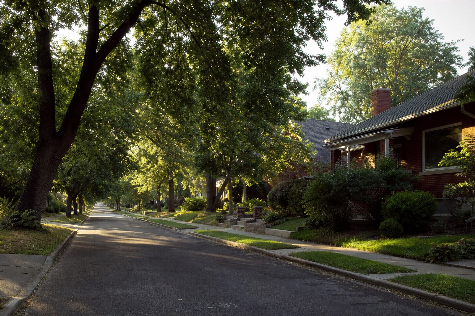 A tree lined residential street in a Denver neighborhood, illustrative